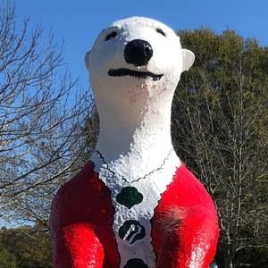 Meet your Posher, Corey